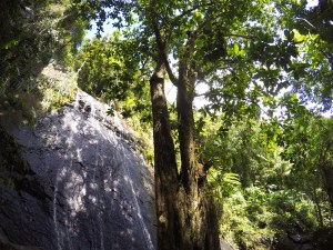 DCIM100GOPROGOPR0256.