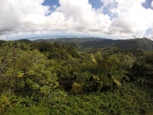 DCIM100GOPROGOPR0274.