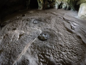 DCIM100GOPROGOPR0340.