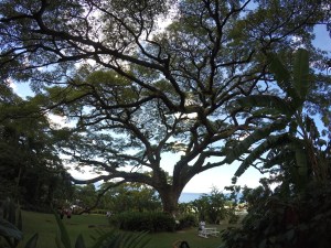 DCIM100GOPROGOPR0560.