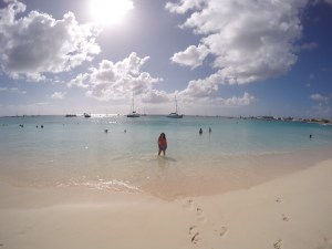 DCIM100GOPROGOPR0871.