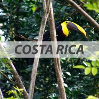 Blog Image Gallery 3x3 COSTA RICA