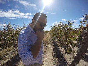 DCIM100GOPROGOPR1873.