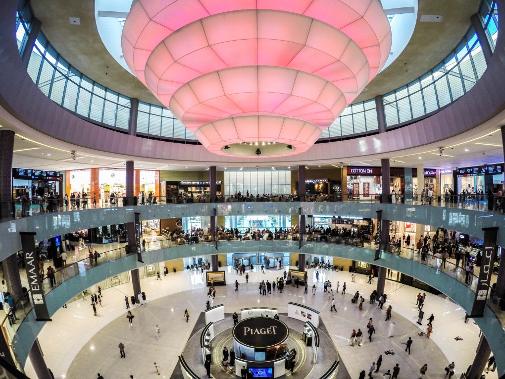 DCIM101GOPROGOPR5079.