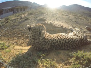 DCIM101GOPROGOPR5874.