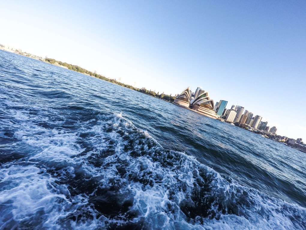 DCIM101GOPROGOPR6431.