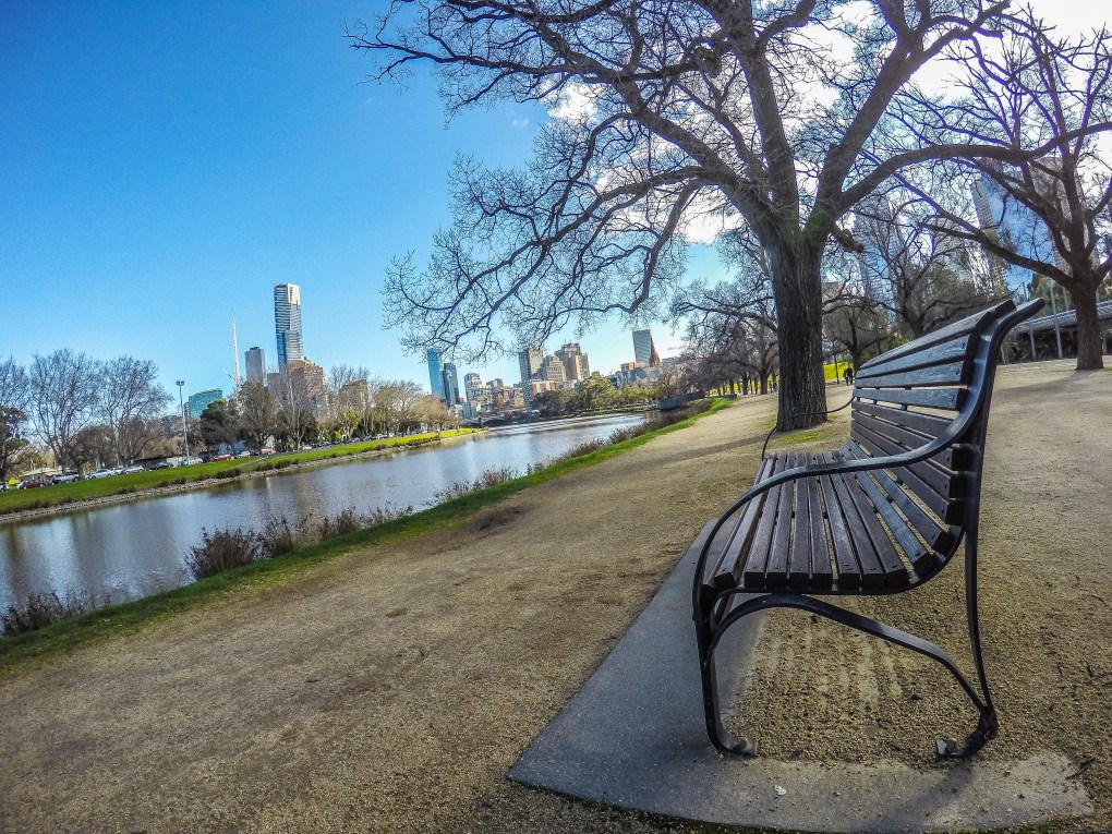 DCIM101GOPROGOPR6523.